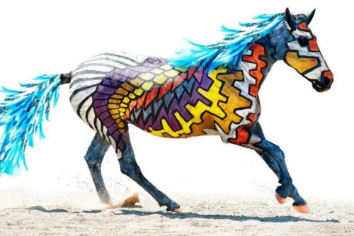 The Dream Horse Project: Andalusia -  Photo Edition Print 80x60