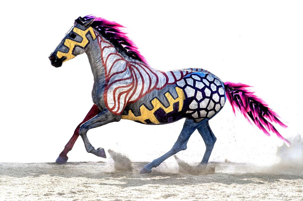 Vividly painted galloping horse, a masterpiece by artist Johny Dar, showcasing a unique and captivating style.